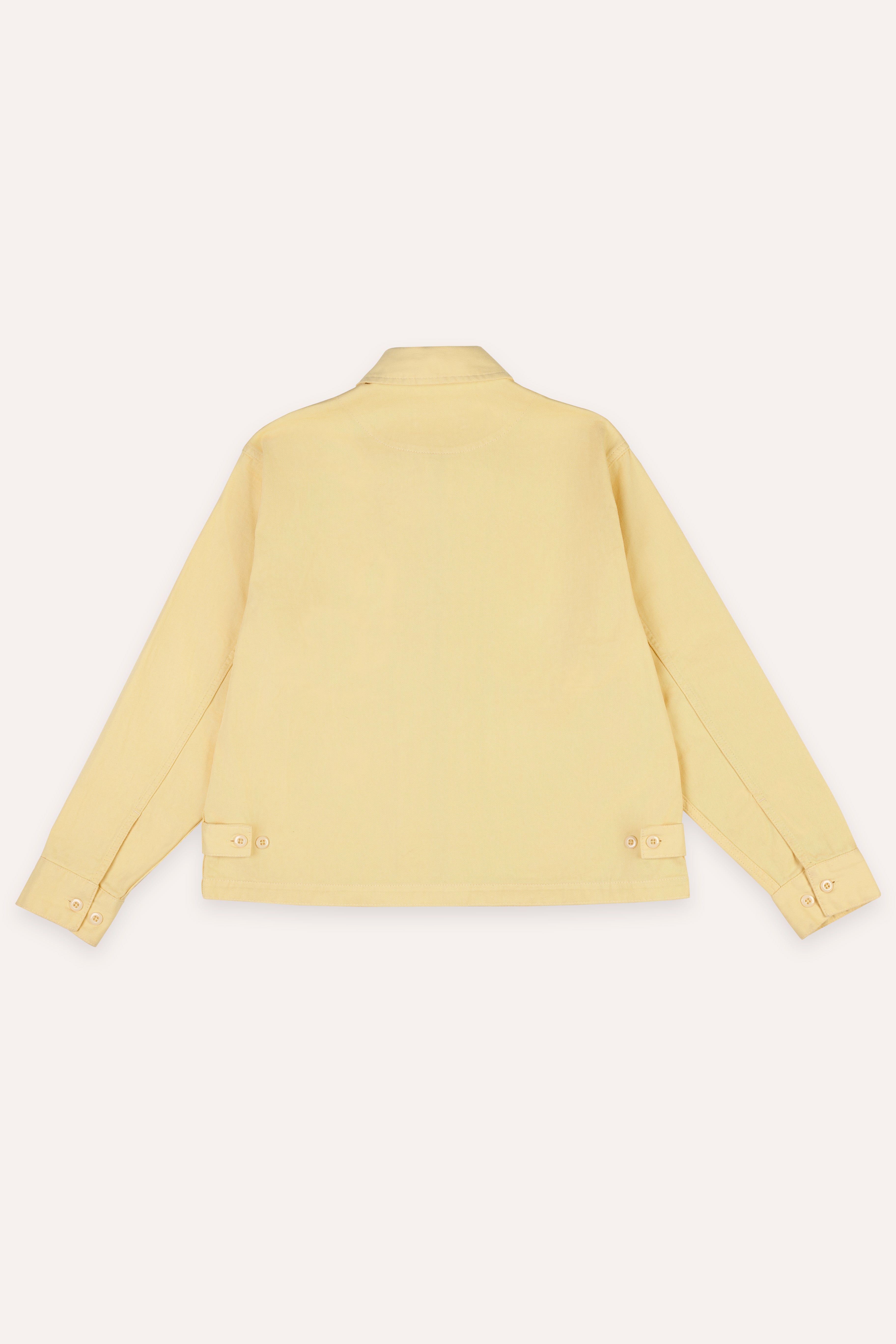Yellow jacket on a white background